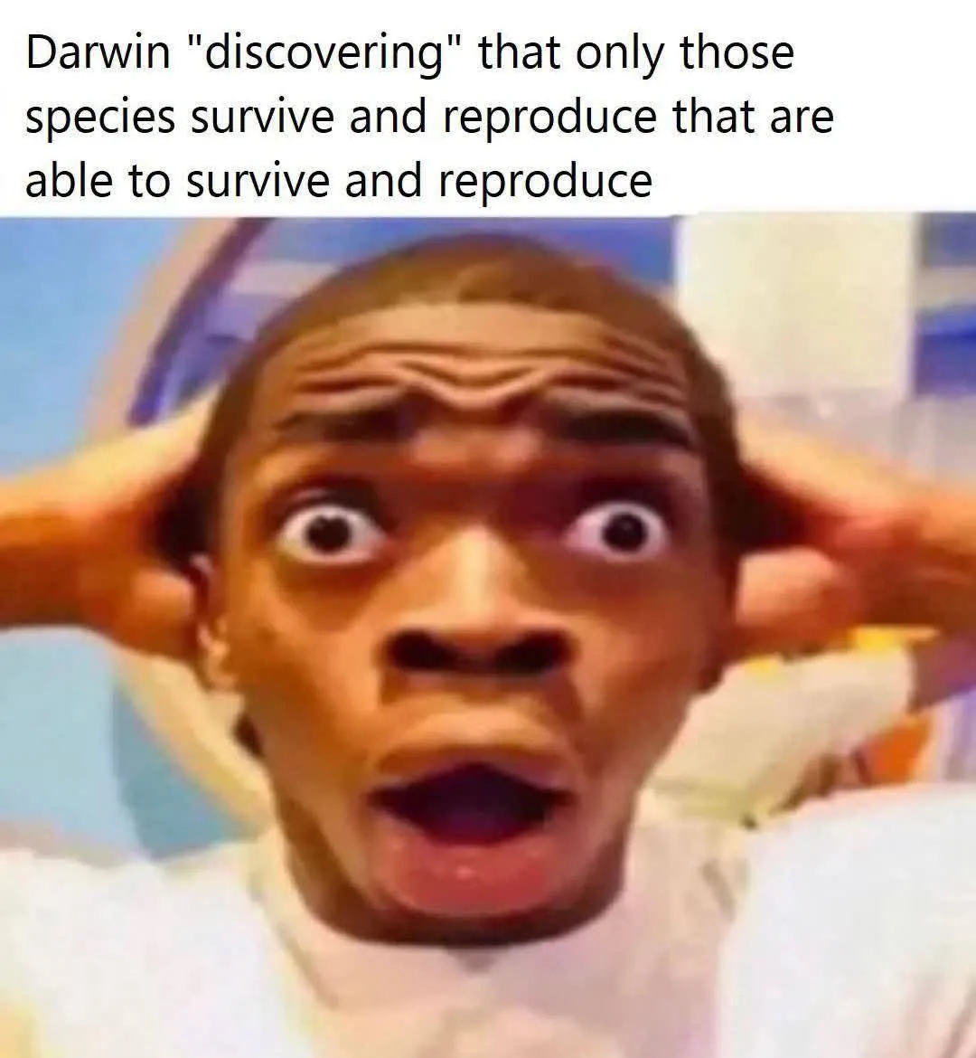 meme